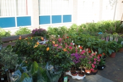 2014 05 07 Rommelmarkt 078